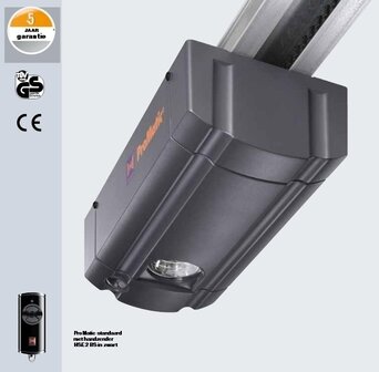 Hormann EPU 40, M profilering, Woodgrain RAL kleur naar keuze, inclusief Promatic motor met afstandsbediening en montage